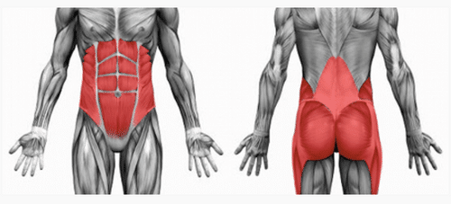 Core stability vs core strength body diagrams